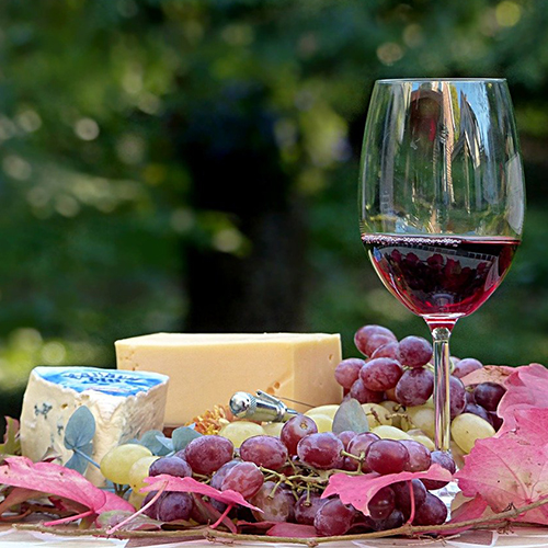 長野の農園のぶどう