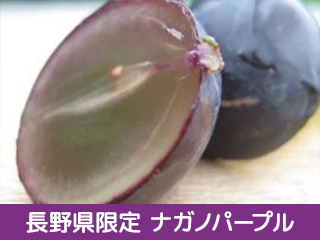 長野県限定の人気の黒ぶどう「ナガノパープル」